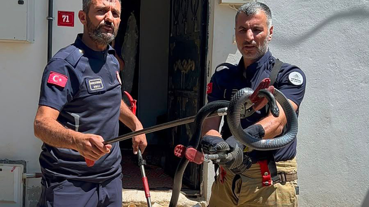 Mahallelinin 3 yıllık “korkulu rüyası” yakalandı