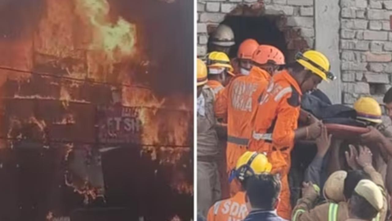 Hindistan'da eğitim merkezinde yangın: 14 ölü