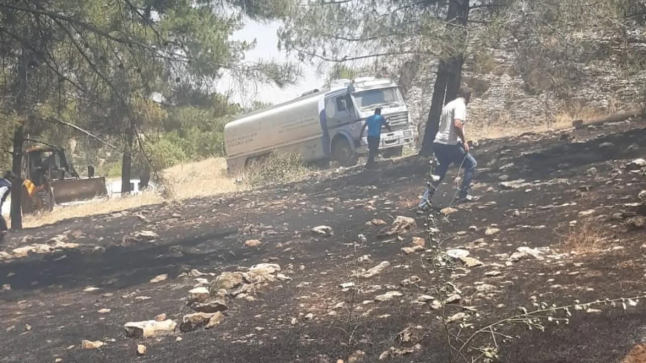 Gaziantep'te ağaçlık alanda yangın
