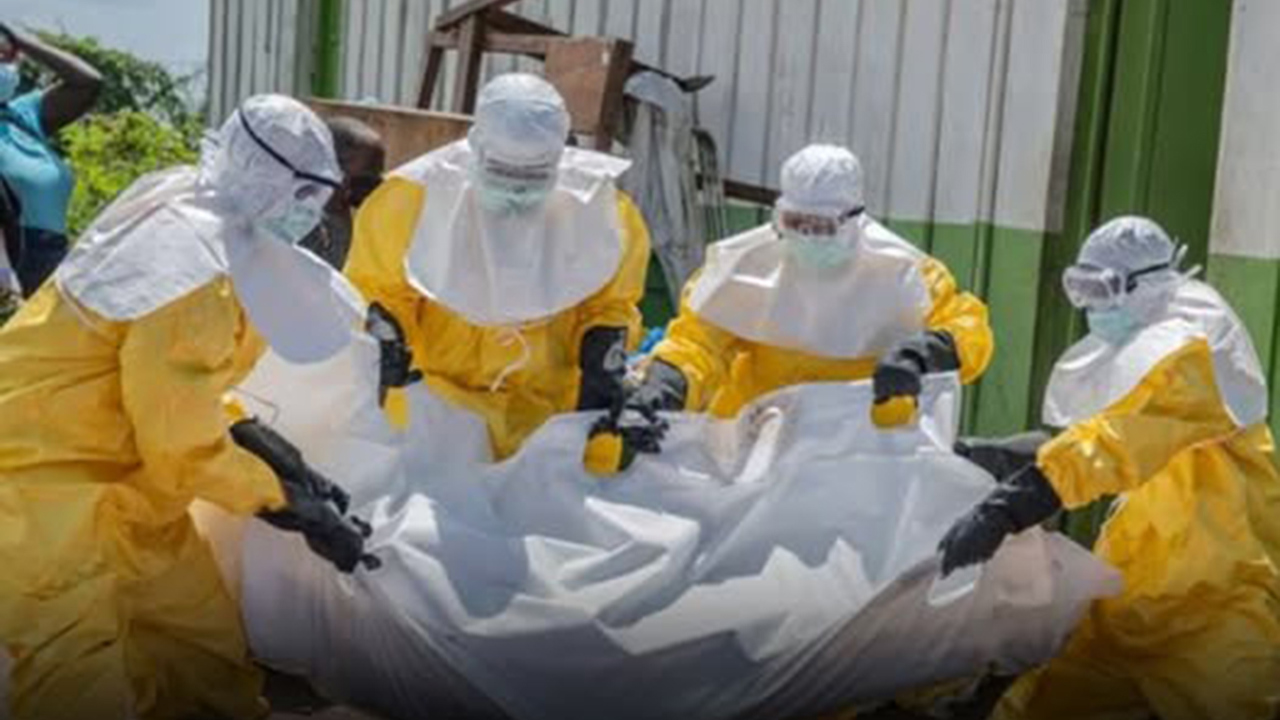 Kongo'da Ebola salgını nedeniyle 267 kişi hayatını kaybetti