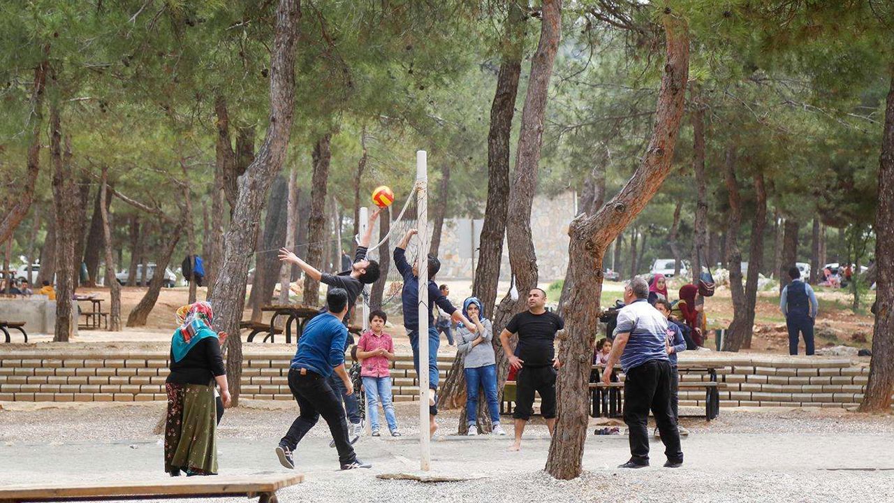 Canözer: Piknik alanlarında küçük ihmaller büyük felaketlere dönüşüyor