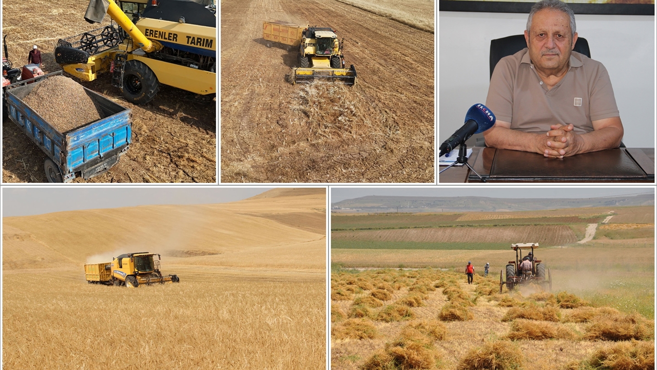 Ziraat Odası Başkanı Aydiş: Son yılların en verimli sezonunu yaşıyoruz