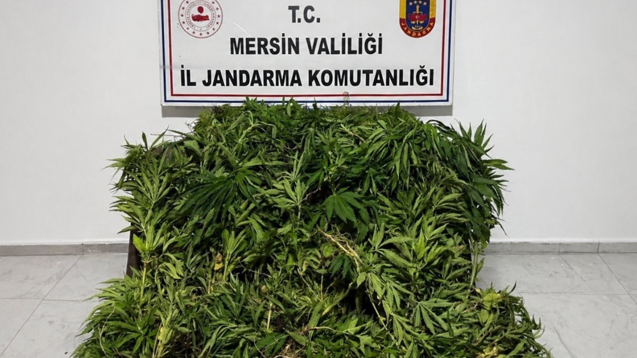 Mersin'de uyuşturucu operasyonunda bir şüpheli tutuklandı
