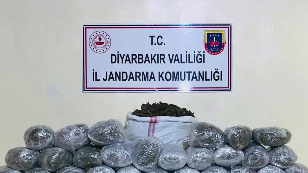 Diyarbakır'da 1 milyon 755 bin kök kenevir ve skunk ele geçirildi