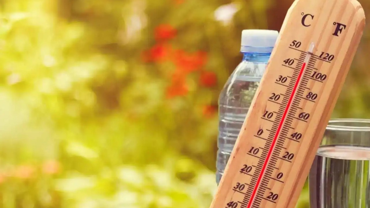 Belçika’da sıcak hava dalgası: Kırmızı alarm verildi