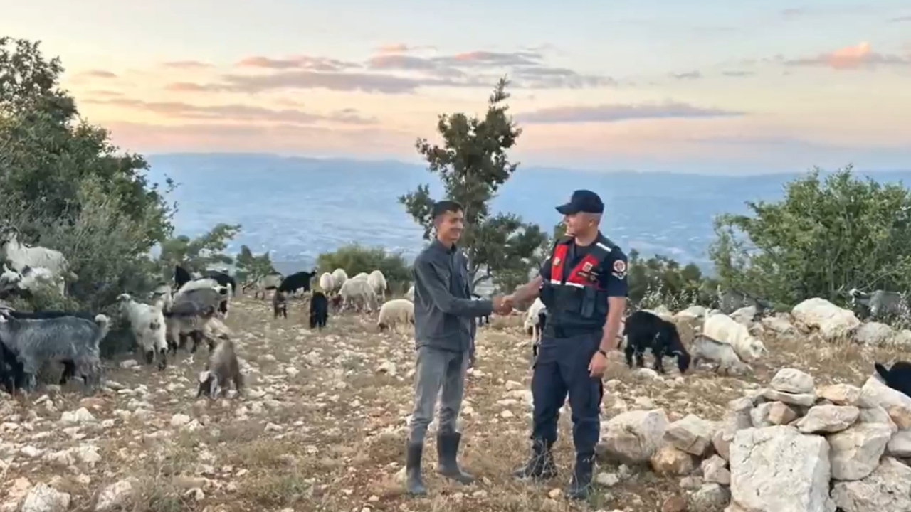 Mersin'de kaybolan 40 küçükbaş hayvan dron destekli aramayla bulundu
