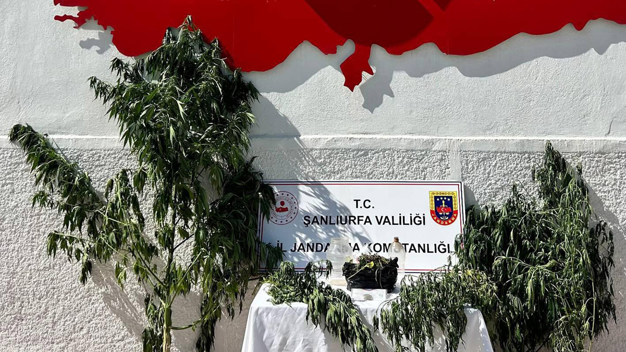 Şanlıurfa'da uyuşturucu operasyonu