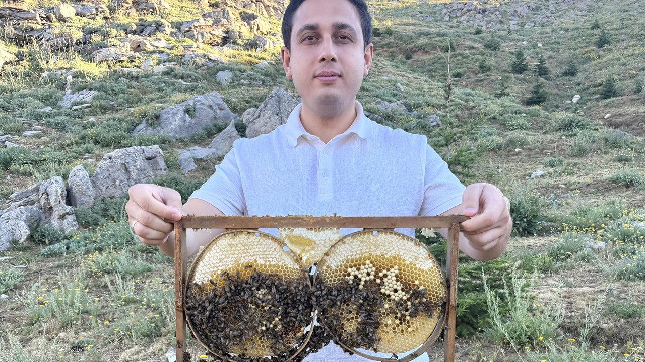 Sason balında hasat öncesi son kontroller yapılıyor