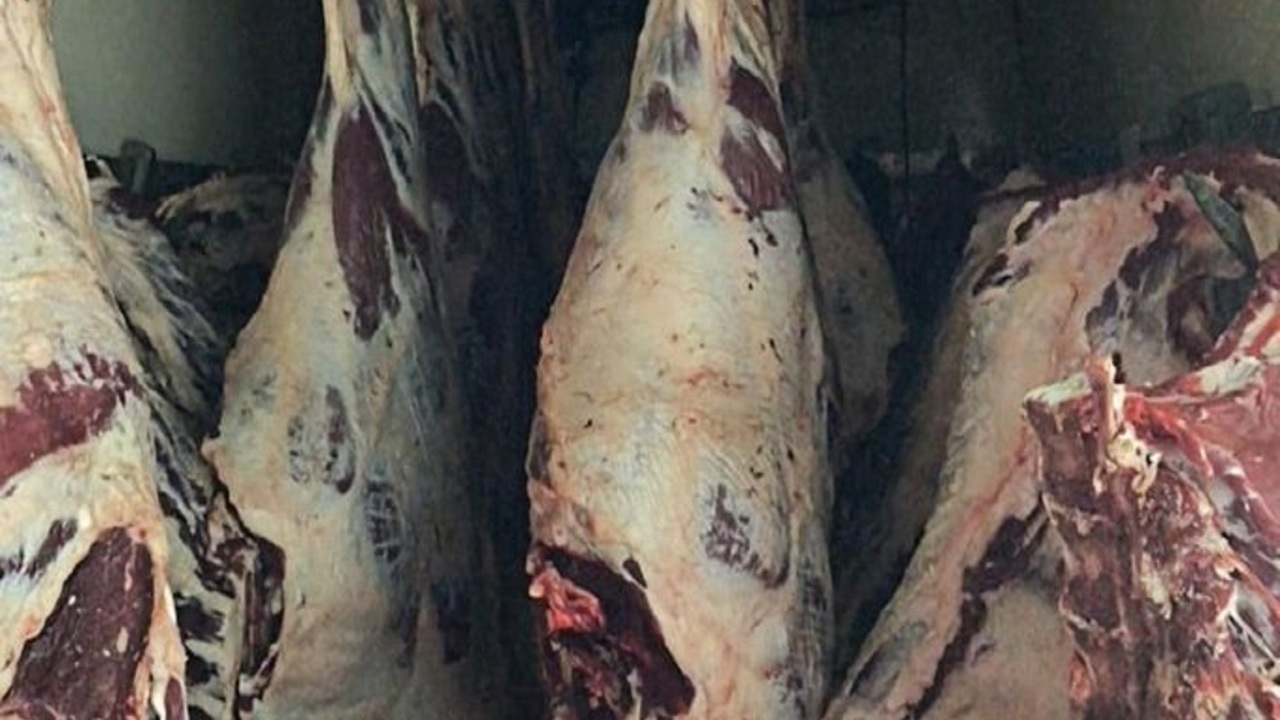 Sakarya’da tüketime uygun olmayan 1,8 ton et imha edildi