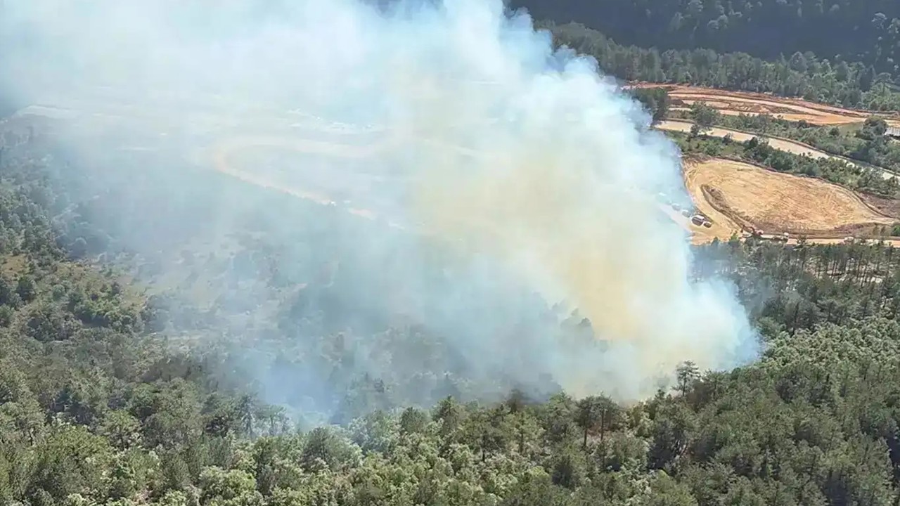 Bursa'da orman yangını: Havadan ve karadan müdahale ediliyor