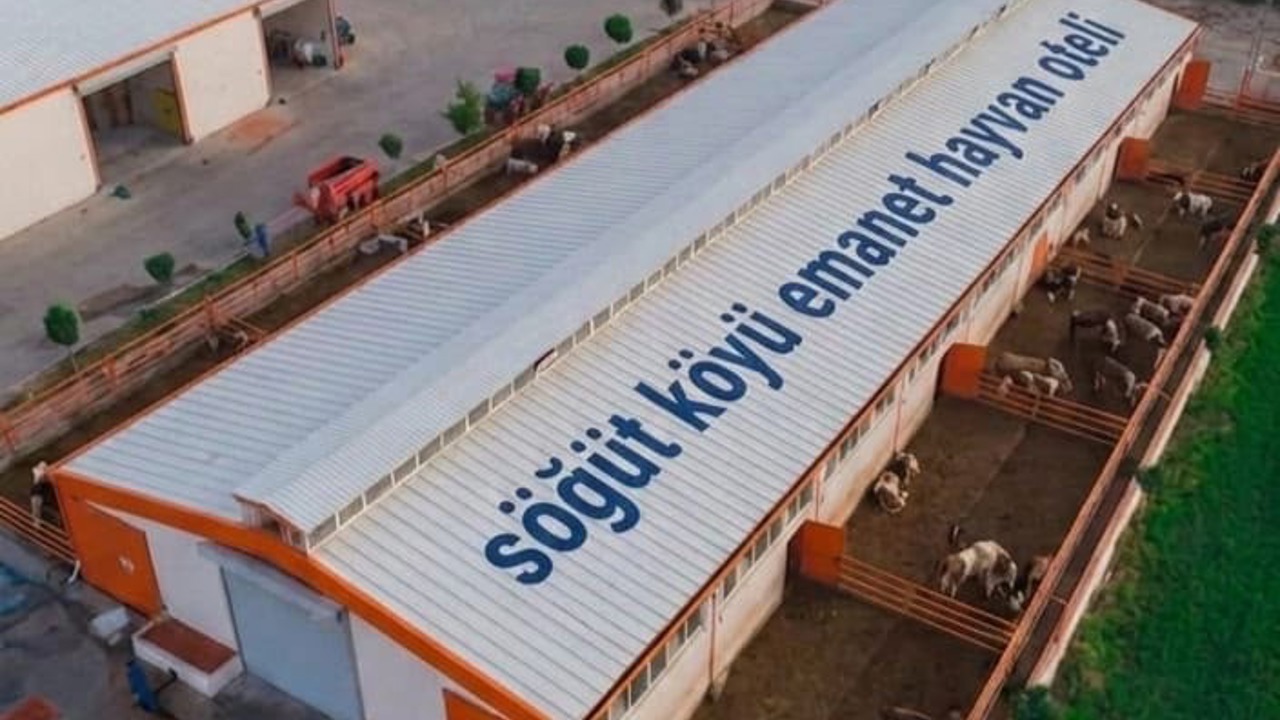 Gurbetçilere Özel “Emanet Hayvan Oteli” Projesi Hayata Geçiyor