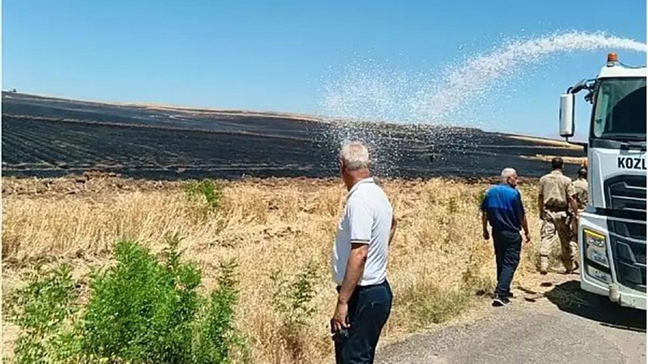 Siirt'te buğday tarlalarında yangın: Yüzlerce dönüm alan kül oldu