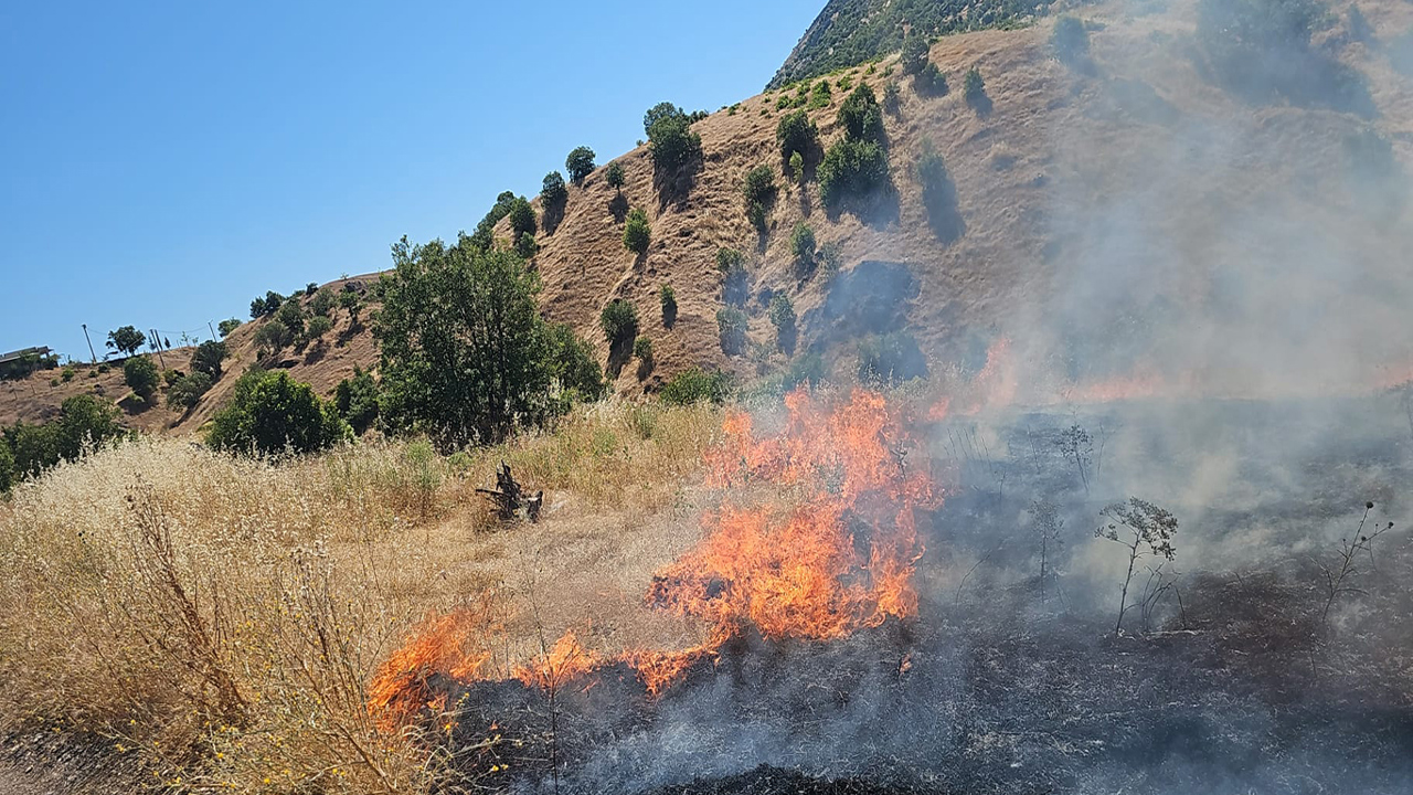 Diyarbakır'da ormanlık alanda yangın çıktı