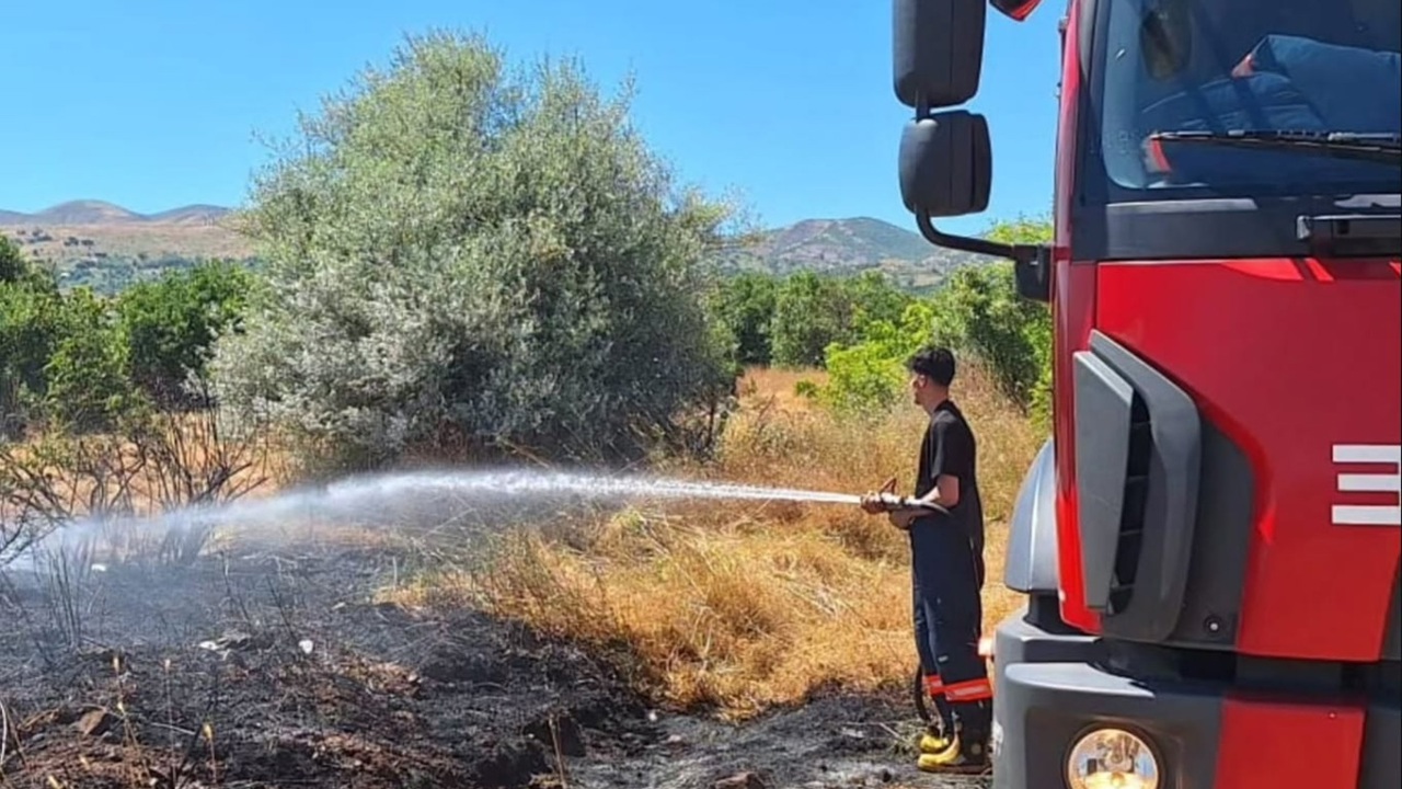 Bingöl'de yangın ormana sıçramadan söndürüldü
