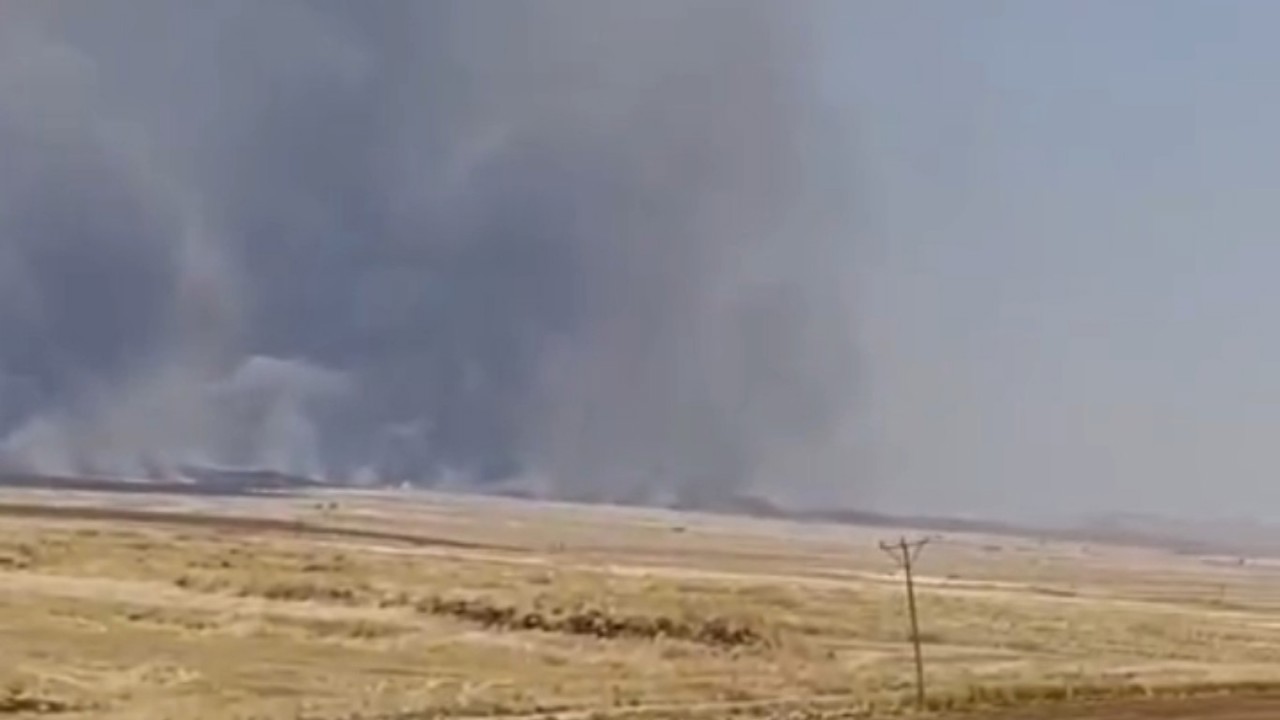 Mardin’de arpa ekili tarlada yangın: Yaklaşık 10 dönüm alan yandı