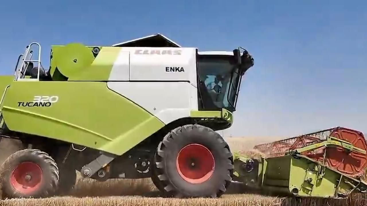 Konya'da sezonun ilk arpa hasadı başladı