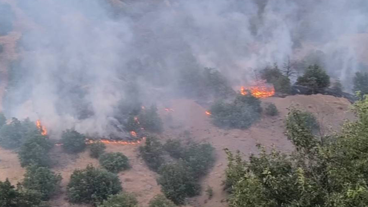 Malatya'da orman yangınını söndürme çalışmaları sürüyor