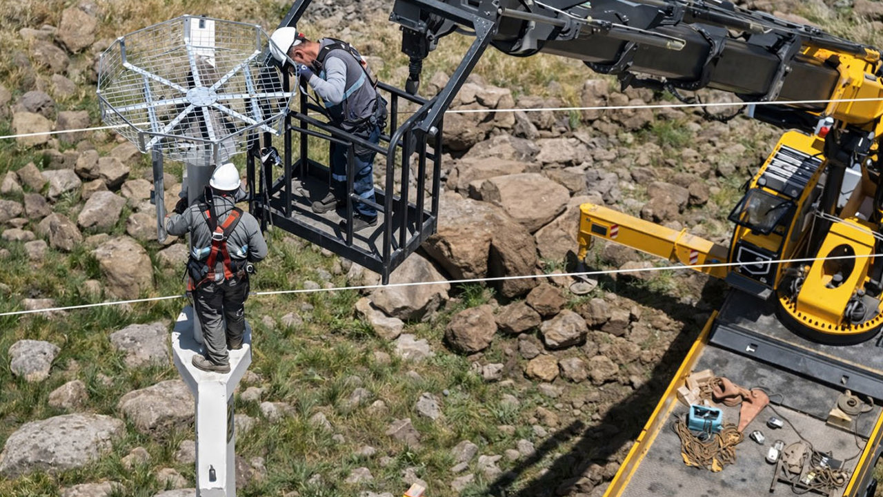 Elektrik direkleri göçmen kuşlar için güvenli yuvalara dönüşüyor