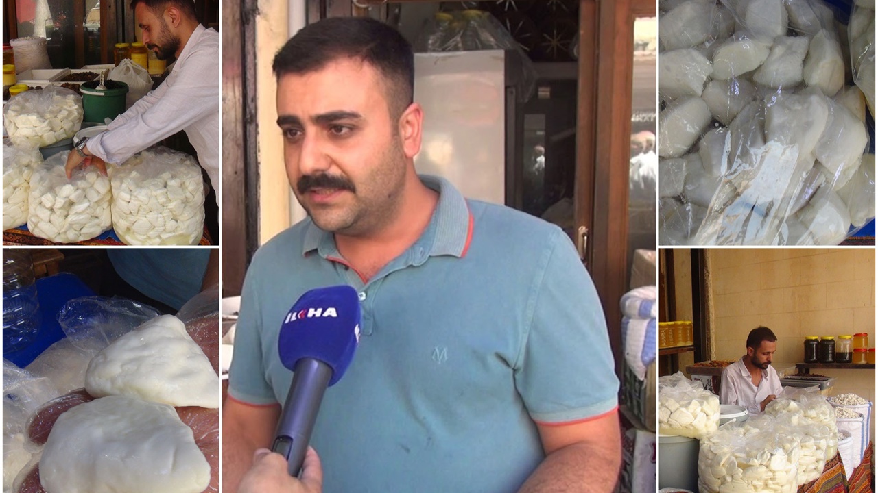 Peynirci Çelik: Doğru salamura edilen peynir bir yıl tazeliğini korur