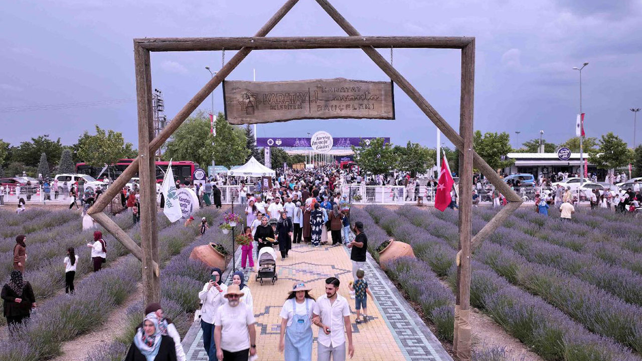 Karatay lavanta günleri sona erdi