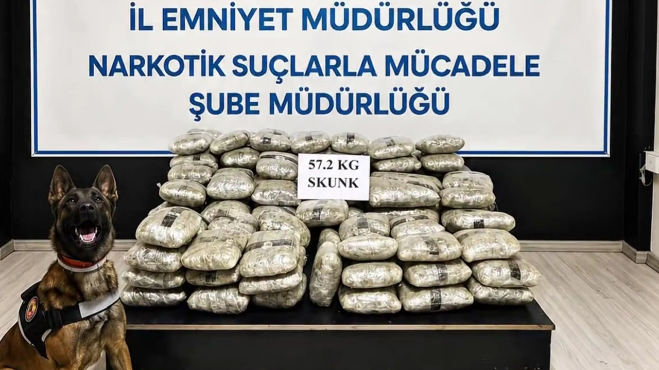 Hakkari'de 57,2 kilogram skunk ele geçirildi