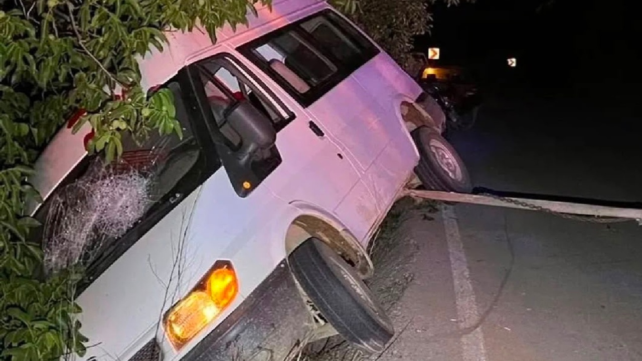 İzmir'de minibüs ağaca çarptı: 2 kişi yaralandı