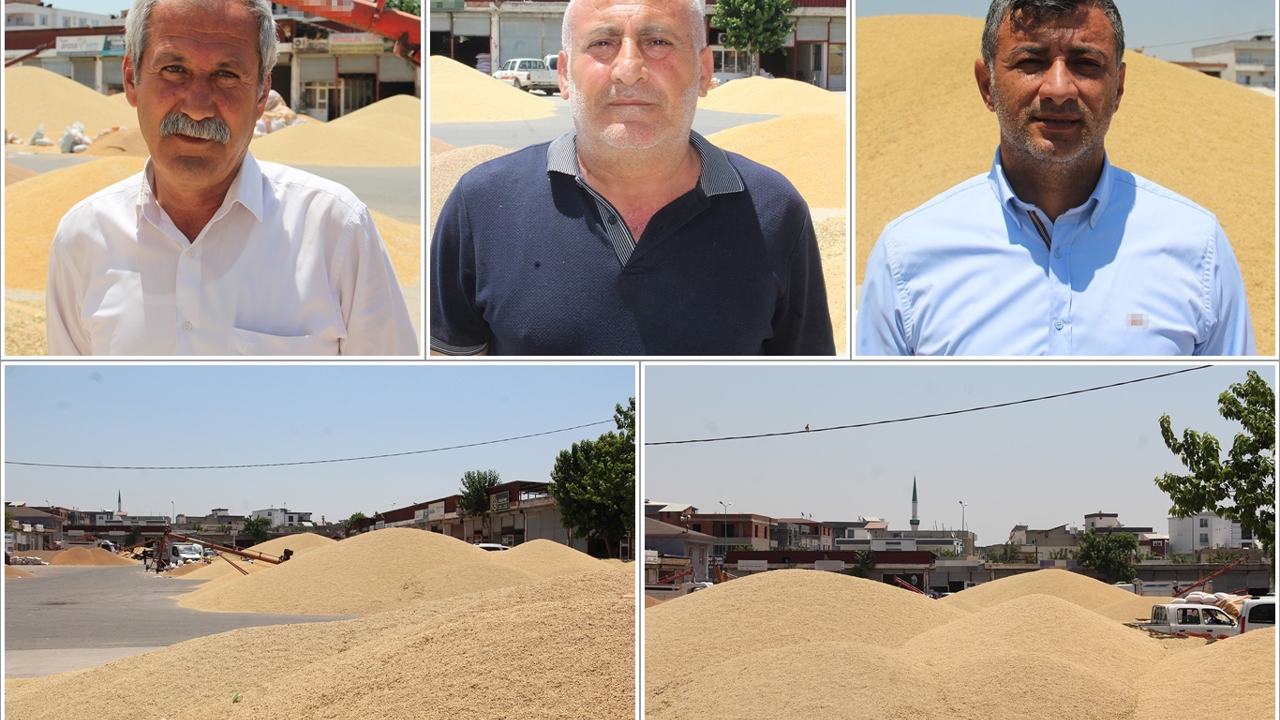 Buğday piyasası kilitlendi: Üretici ve tüccardan TMO'ya "ÇKS" çağrısı