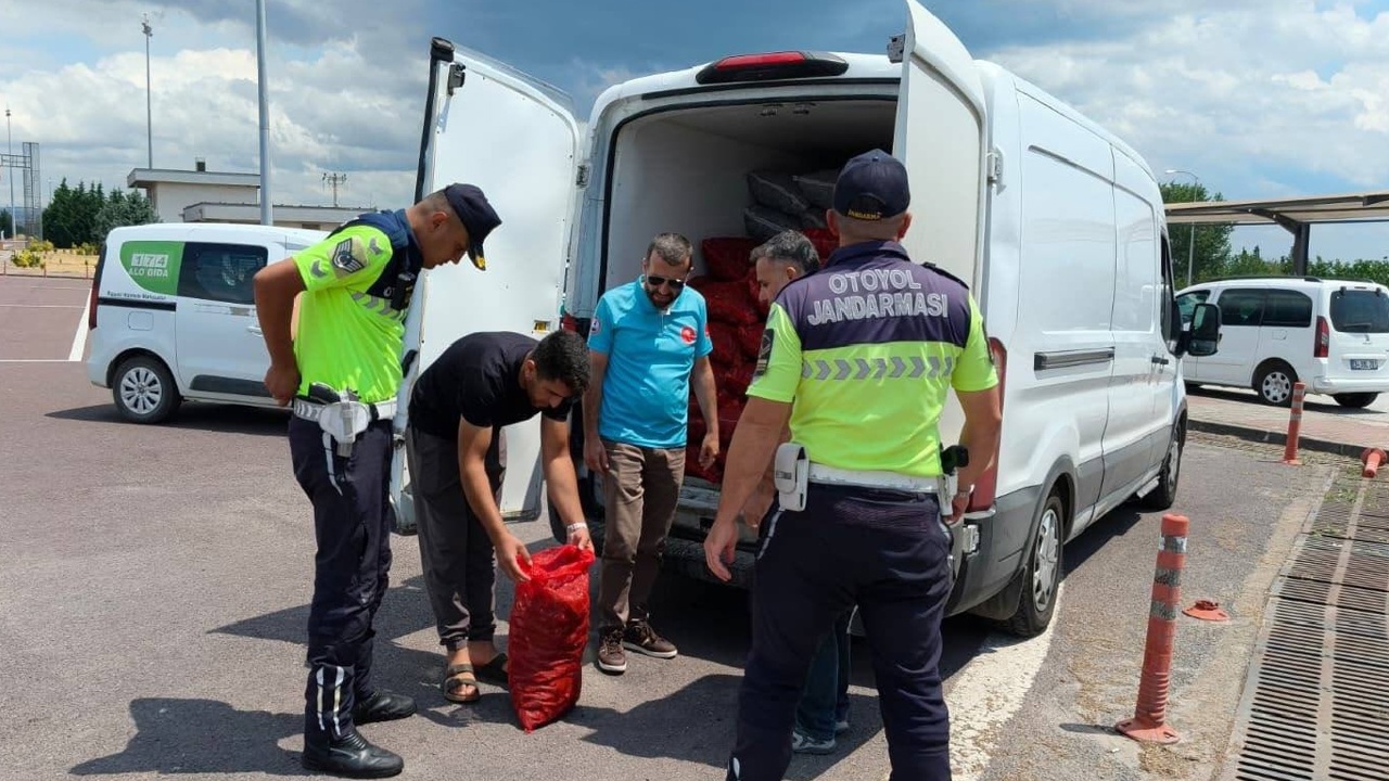 Yalova'da 3 ton kara midyesi ele geçirildi