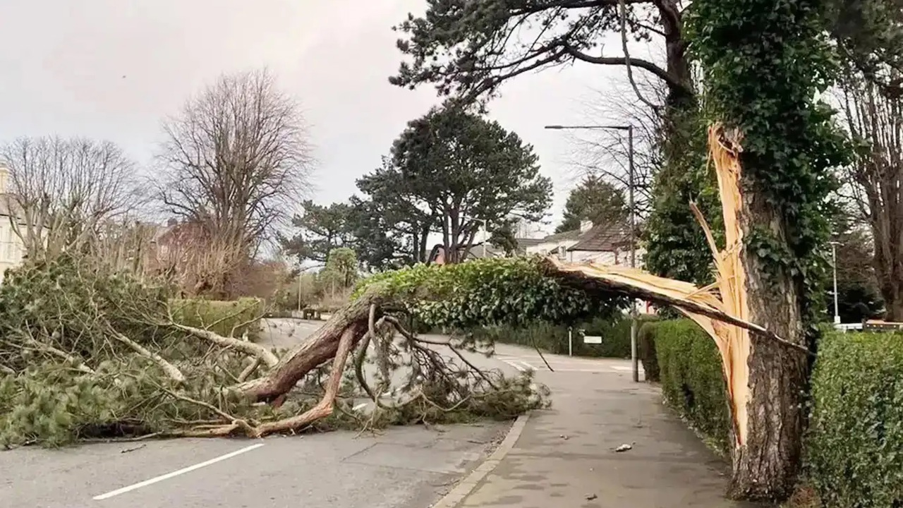 Meteoroloji'den kuvvetli rüzgâr uyarısı: Kuzey kesimlerde sağanak bekleniyor