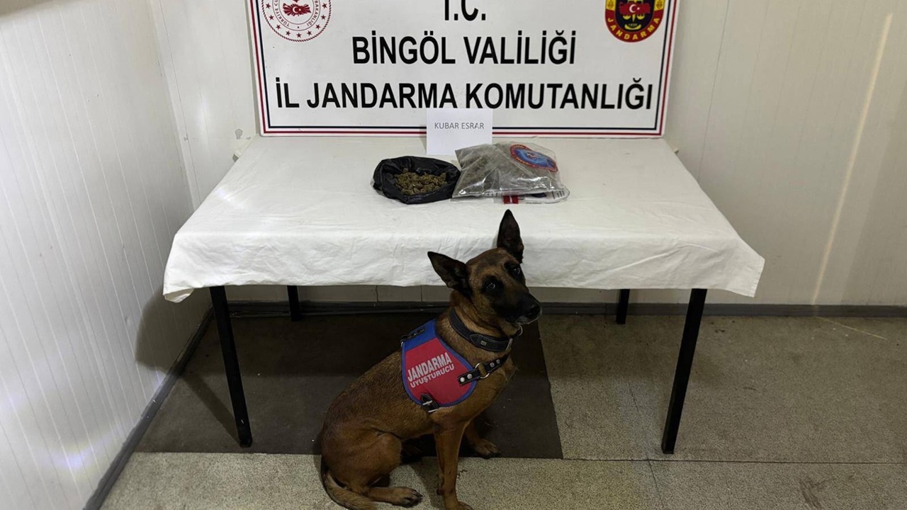 Bingöl'de kesinleşmiş hapis cezası bulunan 4 firari yakalandı