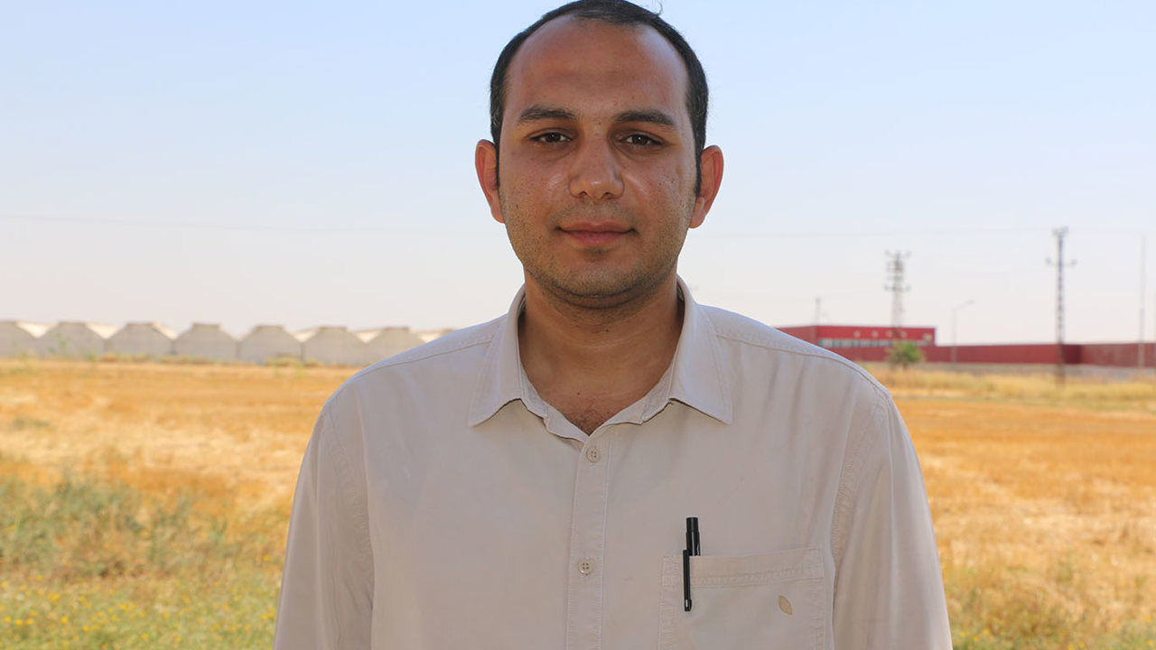 Ziraat Yüksek Mühendisi Peltek: Bu yıl kıraç arazilerde verim yüzleri güldürdü