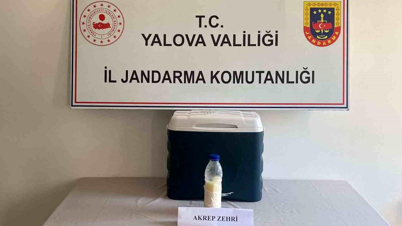 Yalova'da 500 gram akrep zehri ele geçirildi