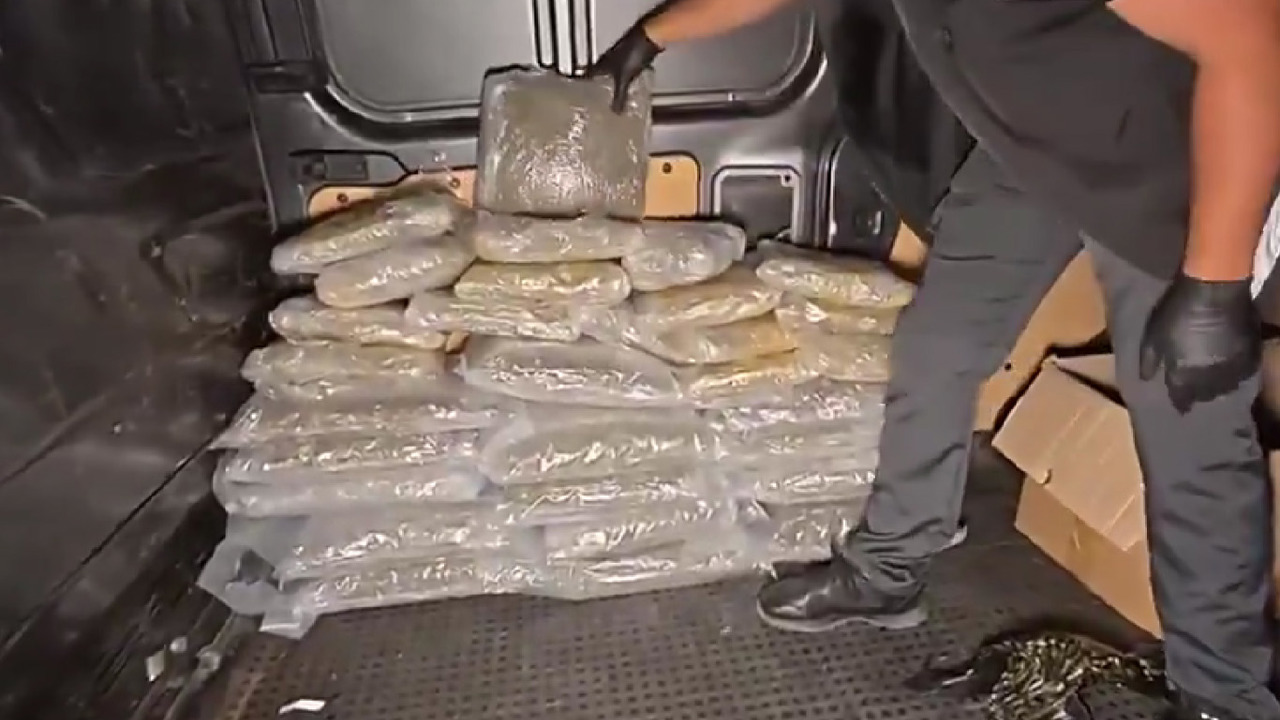 İstanbul'da 45 kilogramdan fazla skunk ele geçirildi