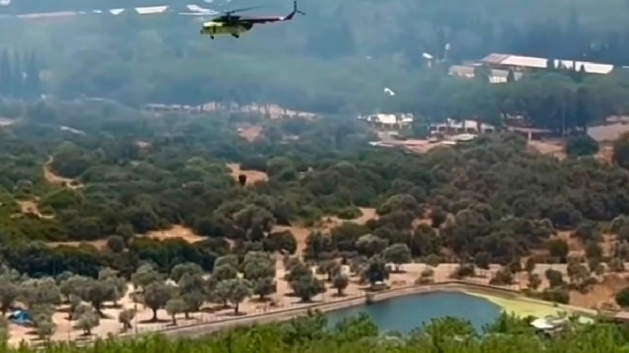 Homeros Vadisi'nde çıkan yangına havadan ve karadan müdahale sürüyor