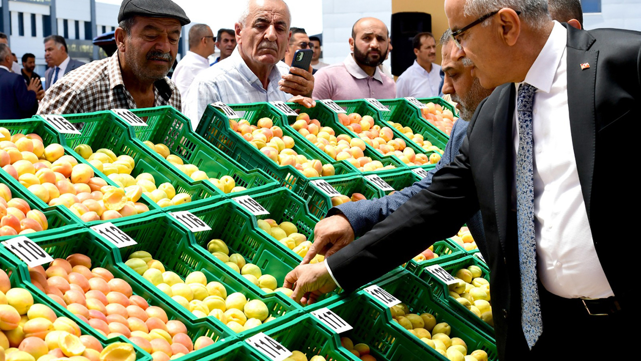 Malatya'da "En İyi Kayısı" yarışması düzenlendi