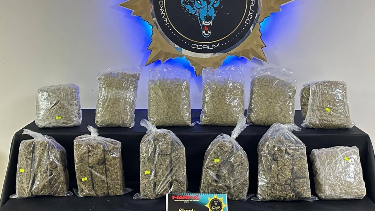 Çorum'da 9 kilogram skunk ele geçirildi