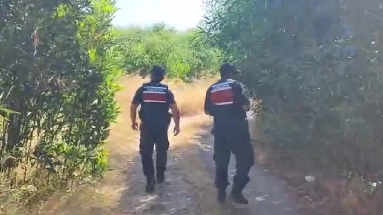 Jandarma: Orman yangınlarına yönelik tedbirleri ihlal eden 456 kişiye işlem yapıldı