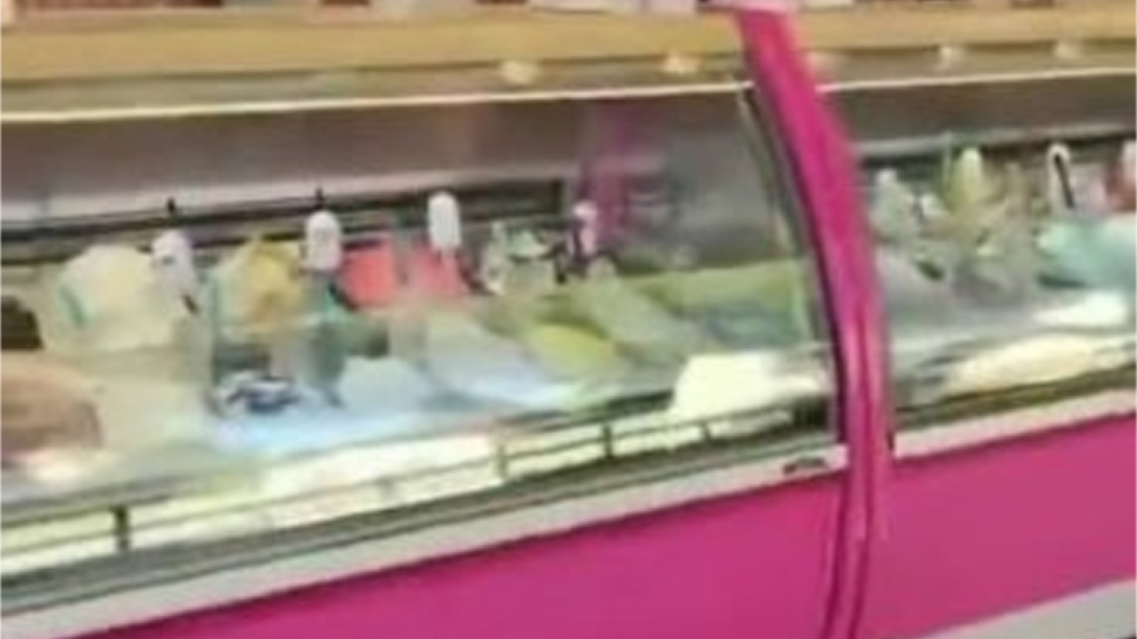 Muğla'da bir top dondurmayı 400 TL'ye satan işletmeye idari işlem