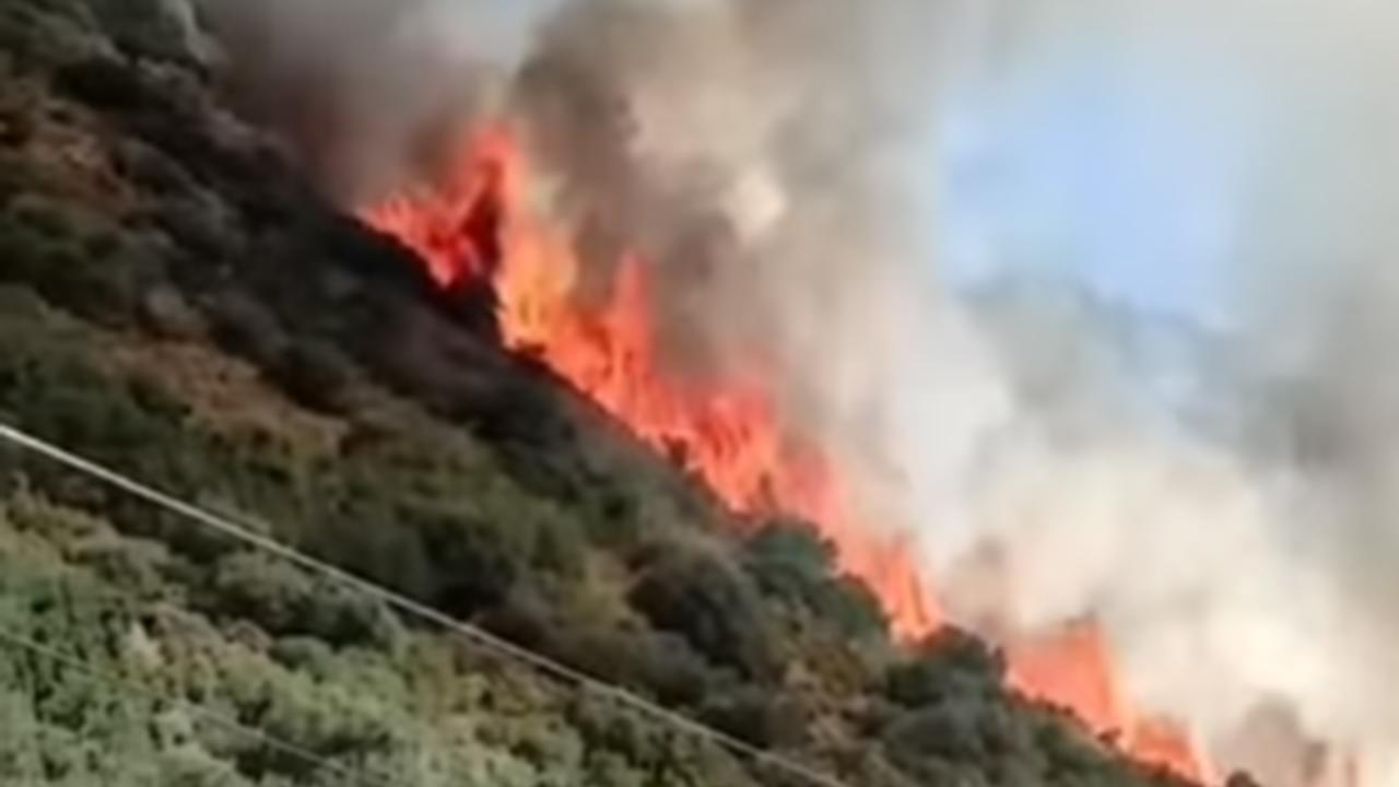 Antalya'da orman yangını