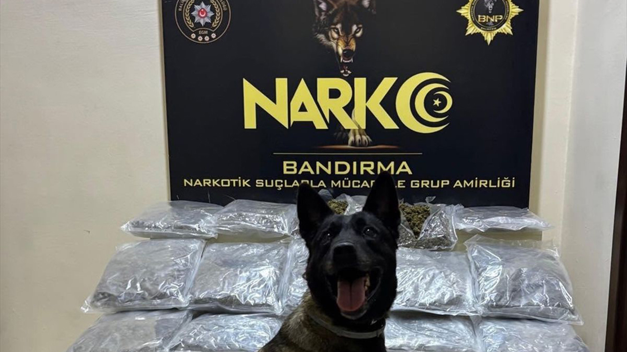 Balıkesir'de uyuşturucu operasyonu: 11 kilogram skunk ele geçirildi