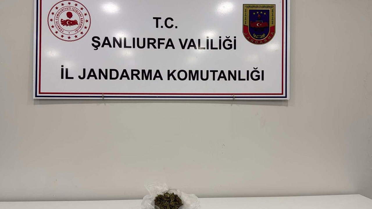 Şanlıurfa'da uyuşturucu operasyonu: Bir gözaltı