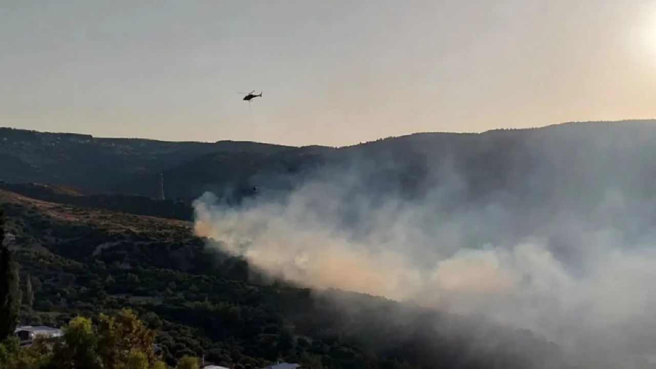 Homeros Vadisi çevresindeki orman yangını kontrol altına alındı