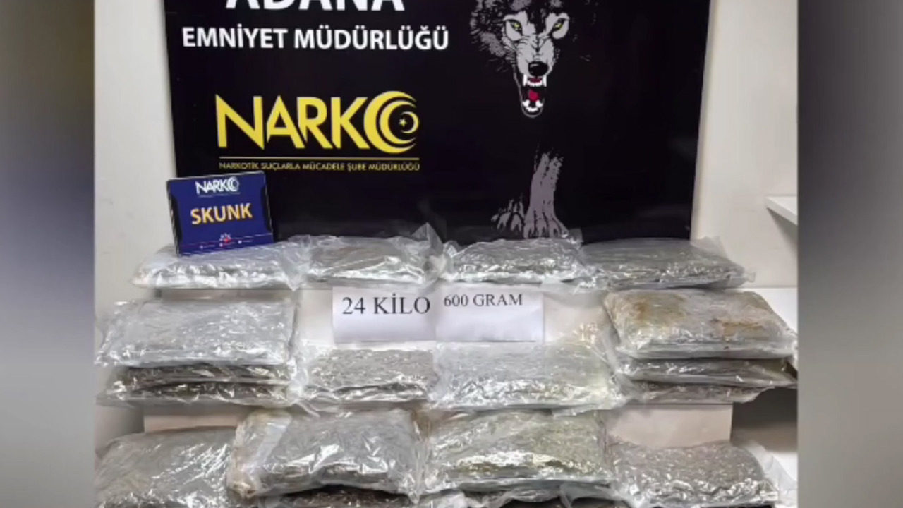 Adana'da 24,6 kilo skunk ele geçirildi