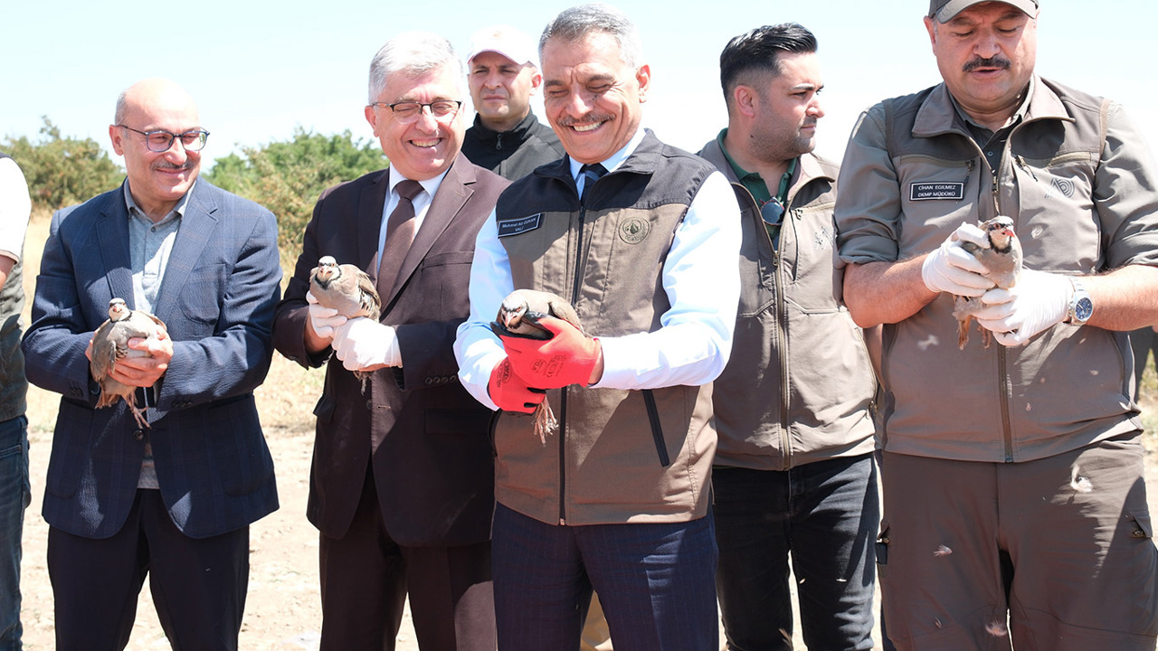 Yozgat'ta bu yıl 10 bin kınalı keklik doğaya salındı