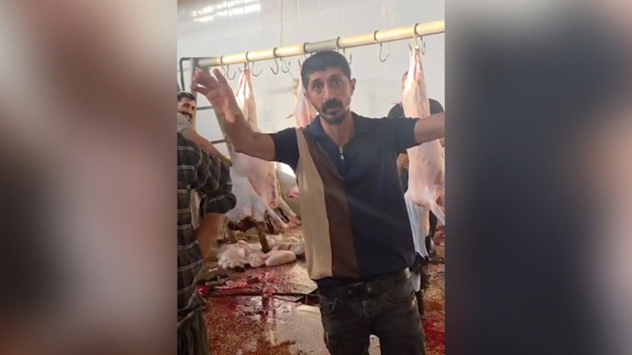 Silopi’deki kesimhanede su, elektrik ve temizlik krizi