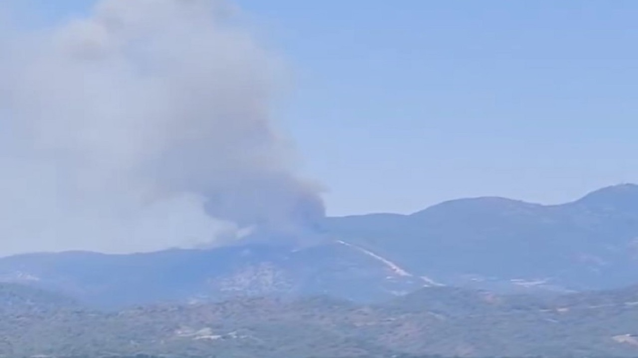 Muğla Fethiye'de orman yangını