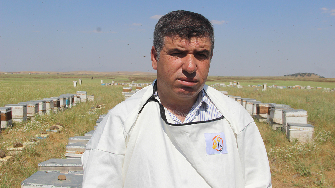 İdil'de 53 arıcı, 65 milyon arı ile bal üretiyor