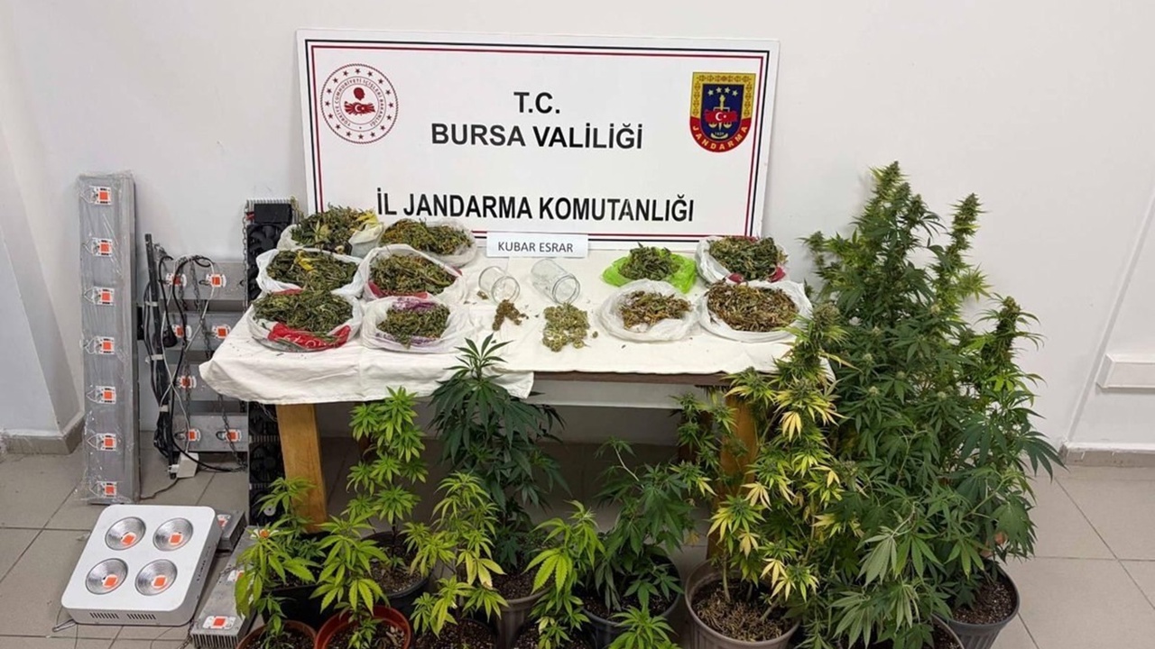 Bursa’da uyuşturucu operasyonunda 2 gözaltı