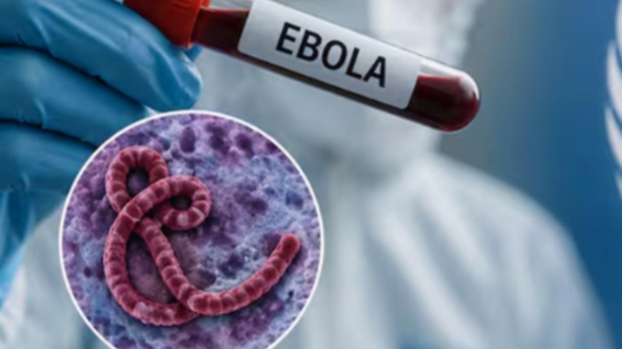 Kongo'da Ebola salgını: Ölü sayısı 1000'i aştı