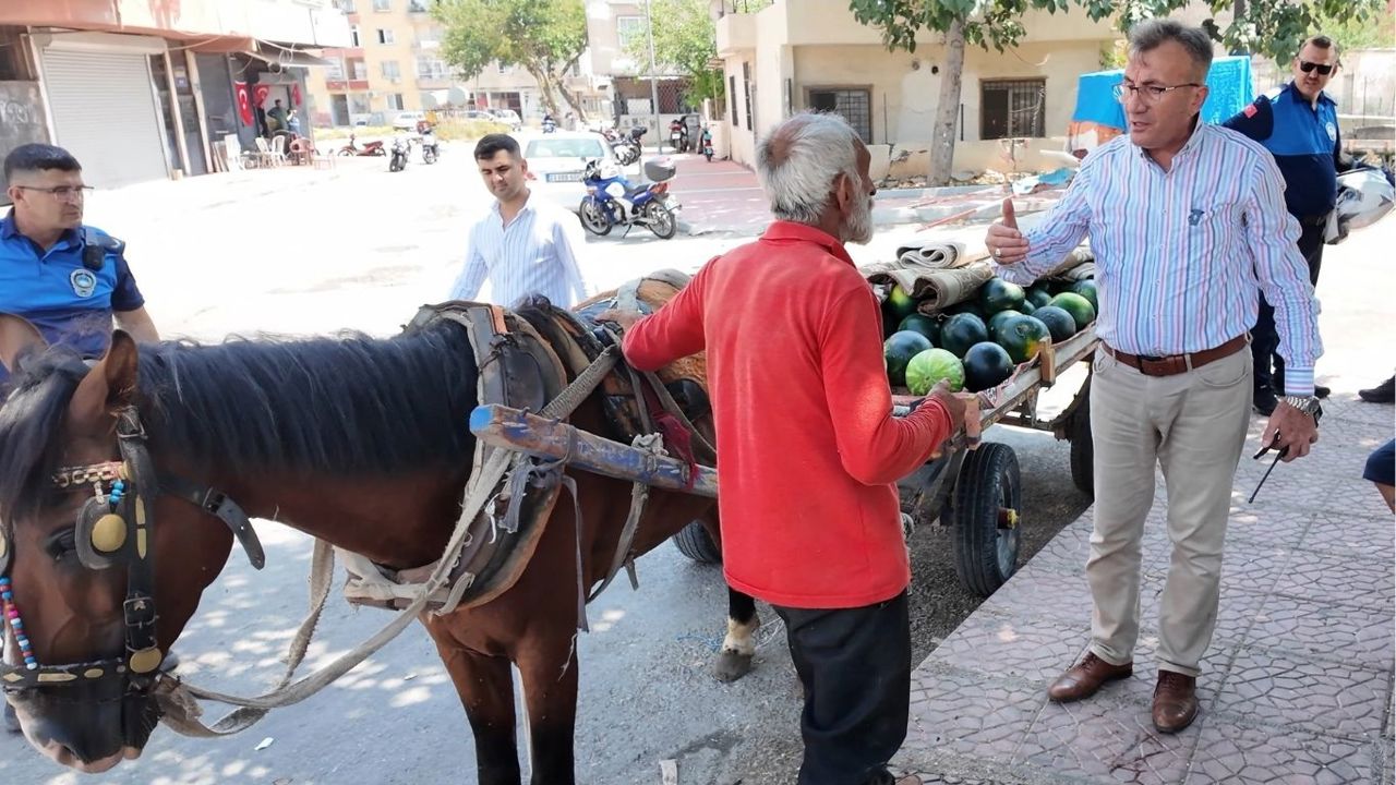 Mersin'de karpuz yüklü arabayı çekerken bitkin düşen at koruma altına alındı